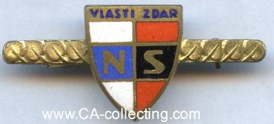 NARODNI SOURUCENSTVI (NS). Mitgliedsspange 1939. Bronze...