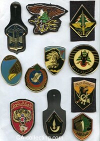 COLLECTION OF 18 ARMY SPECIAL FORCES BADGES.