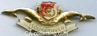 QUALIFICATION CLASP FOR NAVY DIVER 