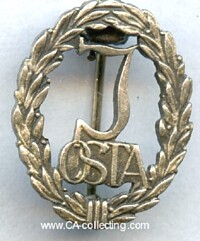 YOUTH SPORTING BADGE SILVER