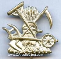 PROFESSIONAL BADGE FOR FARMERS ABOUT 1900.